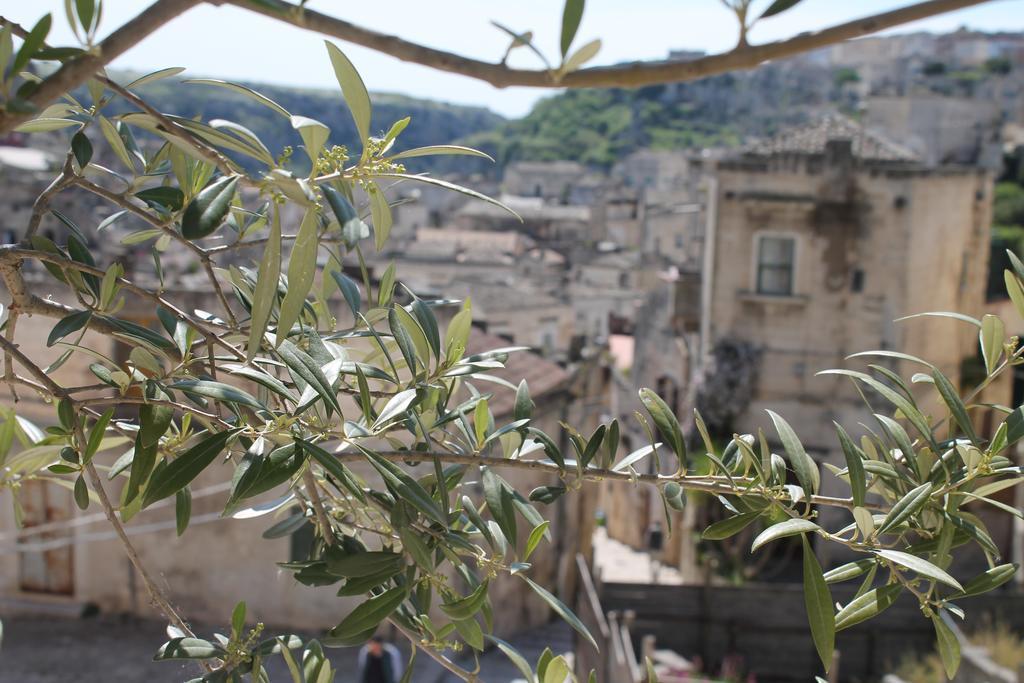 Antico Convicino Rooms Suites & Spa Matera Exteriör bild